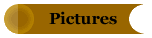 Pictures